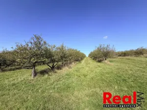 Prodej pozemku pro bydlení, Veverské Knínice, 1043 m2