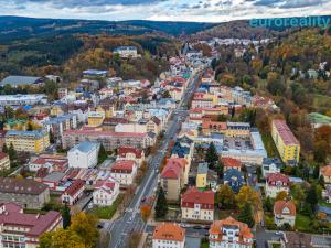 Prodej bytu 1+kk, Mariánské Lázně, Hlavní třída, 31 m2
