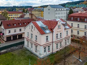 Prodej bytu 1+kk, Mariánské Lázně, Hlavní třída, 31 m2