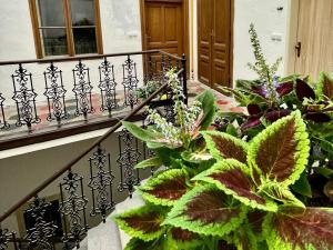 Pronájem bytu 1+1, Třebíč, Karlovo nám., 57 m2