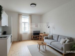 Prodej bytu 1+kk, České Budějovice, Rudolfovská tř., 36 m2