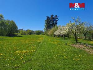 Prodej pozemku pro bydlení, Mirovice - Plíškovice, 4705 m2