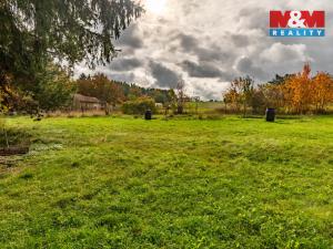 Prodej pozemku pro bydlení, Mirovice - Plíškovice, 4705 m2