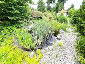 Prodej rodinného domu, Děpoltovice, 480 m2