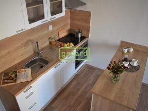 Pronájem bytu 1+kk, Brno - Žabovřesky, Voroněžská, 30 m2