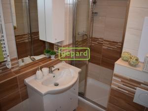 Pronájem bytu 1+kk, Brno - Žabovřesky, Voroněžská, 30 m2
