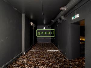 Pronájem obchodního prostoru, Liberec - Liberec XIII-Nové Pavlovice, Generála Svobody, 527 m2