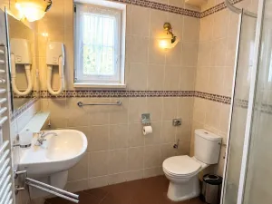 Prodej ubytování, Děpoltovice, 480 m2