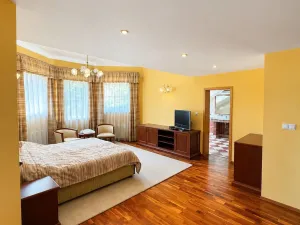 Prodej ubytování, Děpoltovice, 480 m2