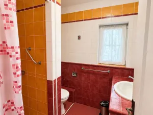 Prodej ubytování, Děpoltovice, 480 m2