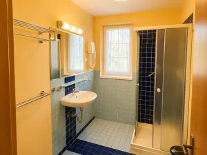 Prodej ubytování, Děpoltovice, 480 m2