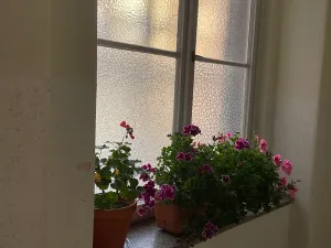 Prodej bytu 2+1, Praha, Pechlátova, 59 m2