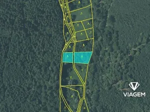Prodej podílu lesa, Fulnek, 7911 m2