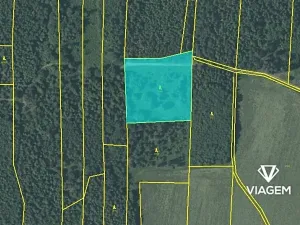 Prodej podílu lesa, Fulnek, 7911 m2