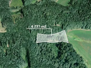 Prodej podílu lesa, Studnice, 2072 m2