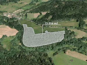 Prodej podílu lesa, Čmelíny, 7020 m2