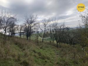 Prodej sadu/vinice, Koryčany - Blišice, 4839 m2