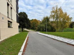 Pronájem bytu 1+kk, Praha - Břevnov, Radimova, 38 m2