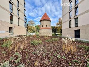 Pronájem bytu 1+kk, Praha - Břevnov, Radimova, 38 m2