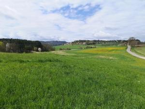 Prodej pozemku pro bydlení, Radomyšl, 8500 m2