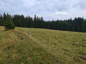 Prodej pozemku pro bydlení, Kvilda, 2500 m2