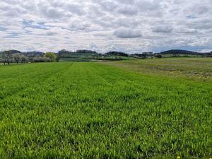 Prodej komerčního pozemku, Radomyšl, 10000 m2