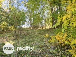 Prodej chalupy, Ústup, 75 m2