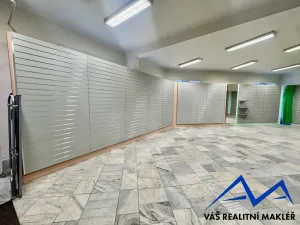 Prodej ordinace, Český Těšín, Ostravská, 150 m2
