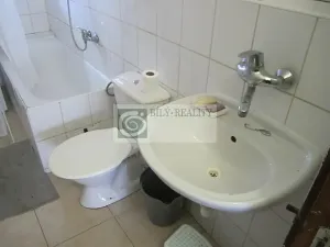 Pronájem rodinného domu, Horní Dubňany, 40 m2
