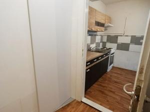 Prodej bytu 2+kk, Praha - Žižkov, Žerotínova, 53 m2