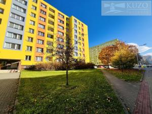 Prodej bytu 3+1, Frýdek-Místek, Novodvorská, 68 m2