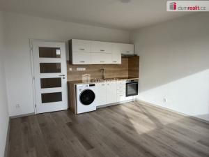 Pronájem bytu 2+kk, Ústí nad Labem, Brandtova, 40 m2