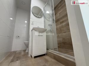 Pronájem bytu 2+kk, Ústí nad Labem, Brandtova, 40 m2