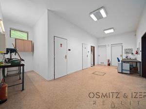 Prodej obchodního prostoru, Praha - Dolní Počernice, Nad rybníkem, 223 m2