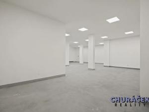 Prodej obchodního prostoru, Čelákovice, Sokolovská, 463 m2