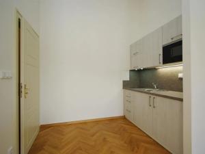 Pronájem bytu 2+kk, Praha - Staré Město, Kozí, 51 m2
