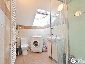 Prodej obchodního prostoru, Cetkovice, Velká Strana, 420 m2