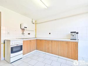 Prodej obchodního prostoru, Cetkovice, Velká Strana, 420 m2