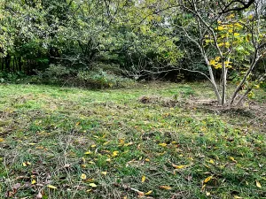 Prodej vícegeneračního domu, Praha - Koloděje, Solnická, 300 m2