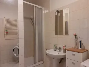 Pronájem bytu 1+kk, Brno, Kuklenská, 37 m2