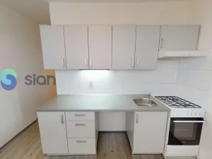 Pronájem bytu 2+1, Ostrava - Hrabůvka, Holasova, 55 m2