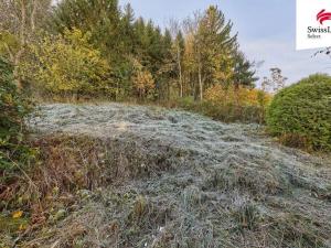 Prodej bytu 4+1, Trutnov, Lesní, 93 m2