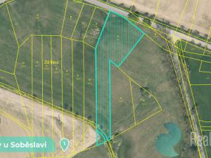Prodej podílu 1/8 pozemku, Tučapy, 11561 m2
