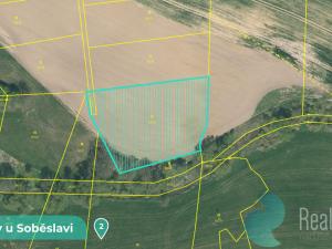 Prodej podílu 1/8 pozemku, Tučapy, 11561 m2