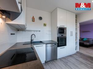 Prodej bytu 3+1, Horní Slavkov, Dlouhá, 74 m2