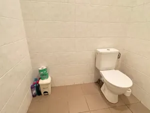 Pronájem výrobních prostor, Holešov, 677 m2