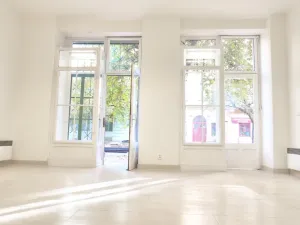 Prodej obchodního prostoru, Praha - Nusle, 34 m2