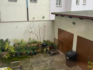 Pronájem bytu 2+kk, Praha - Žižkov, Jeseniova, 45 m2