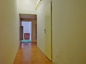 Prodej bytu 2+kk, Praha - Vinohrady, 54 m2