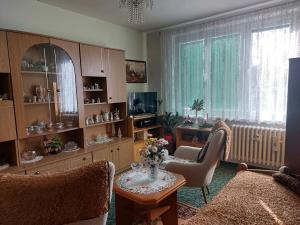 Prodej bytu 2+1, Cheb, Lesní, 52 m2